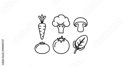 Healthy Organic Vegetables Set with Carrot, Broccoli, Mushroom, Tomato, and Leaf