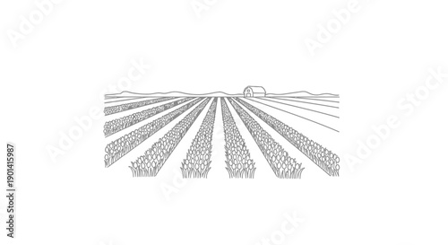 Serene Landscape of Agricultural Fields with Rural Farm and Open Sky
