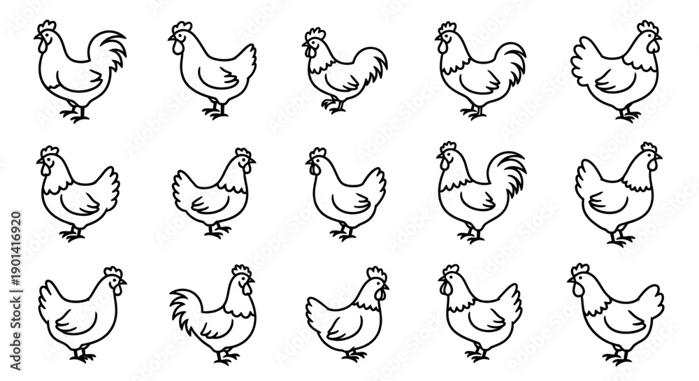 Fototapeta premium Collection of 15 Simple Hand-Drawn Rooster Line Art Illustrations for Creative Design