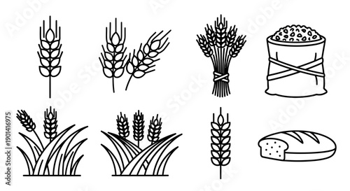 Collection of Black and White Wheat and Grain Illustrations for Agriculture Projects