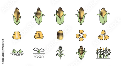 Collection of Corn and Plant Elements Showcasing Agriculture and Farming Themes