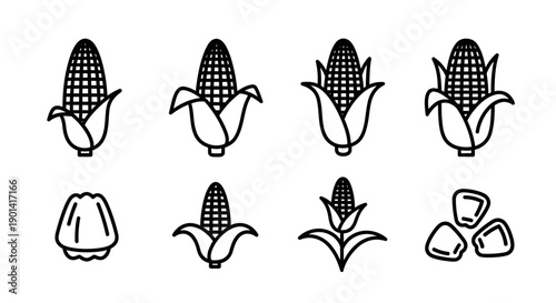 Collection of Corn and Seedling Illustrations Showing Growth Stages