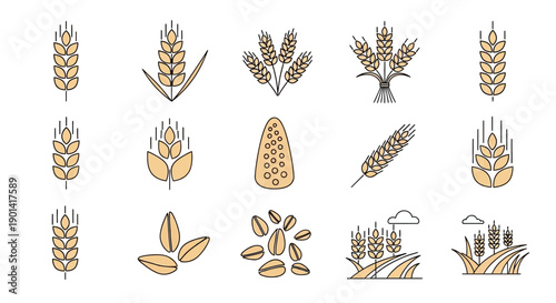 Collection of Hand-Drawn Grain and Wheat Illustrations for Agricultural Design