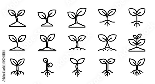 Creative Hand-Drawn Plant Growth Stages Illustration for Educational Use