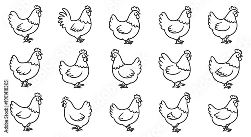 Collection of Simple Black and White Chicken Line Drawings for Kids and Projects