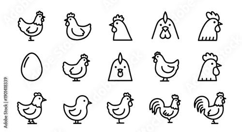Collection of Simple Chicken Line Drawing Illustrations for Creative Design