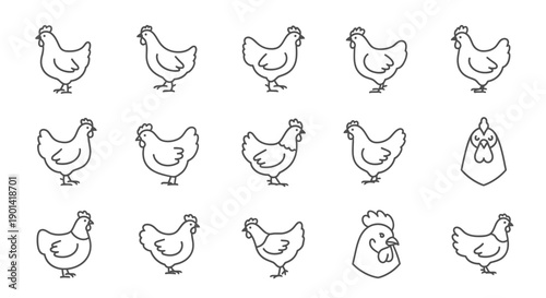 Cute Hand-Drawn Chicken Line Art Collection for Agriculture and Farm Themes