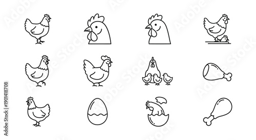 Cute Hand-Drawn Chicken Line Art Illustrations for Farm or Poultry Content