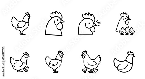 Cute Hand-Drawn Chicken Line Art Set for Kids and Educational Projects
