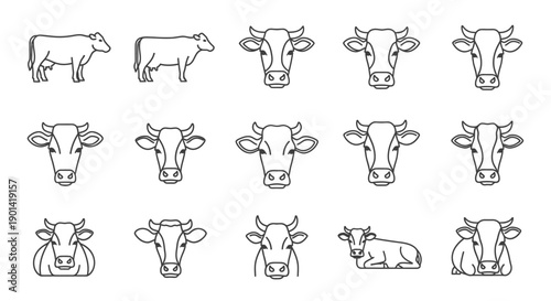 Set of 15 Hand-Drawn Cow Line Art Illustrations for Agriculture and Farming Themes