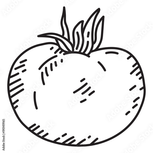 Tomato food icon