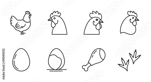 Simple Chicken and Egg Line Drawing Set for Poultry Illustration Projects