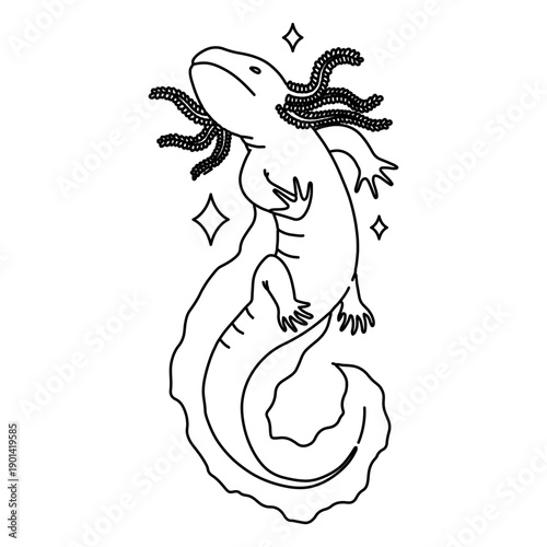 Swimming axolotl stroke