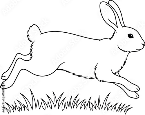 Outline drawing depicts a swift rabbit bounding across a patch of grassy terrain showcasing an energetic animal in motion against a clean white background for coloring books or educational materials.