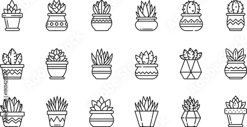 Collection of eighteen distinct black and white line art icons depicting various potted succulent plants and small cactus varieties for gardening and nature related design projects