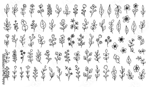 Collection of delicate floral and leafy botanical illustrations in black and white