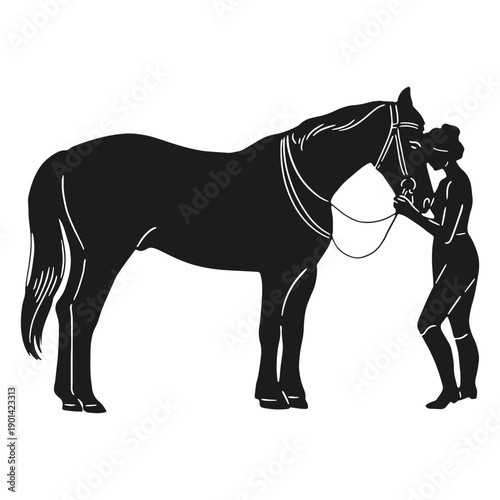 Horse and girl silhouette