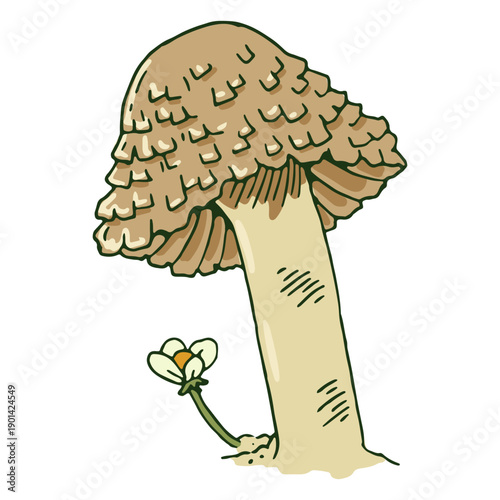 Mushroom with white flower