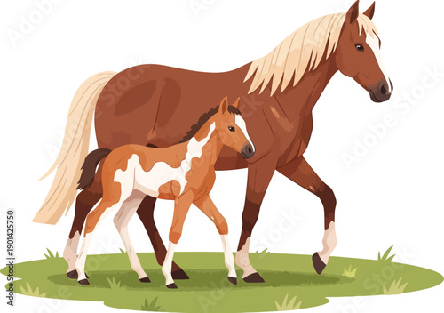 Paint horses on grass, walking on field, mother horse and foal running together on green meadow, vector illustration