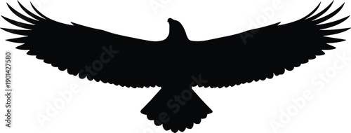 Majestic Black Eagle Silhouette with Large Spread Wings in Soaring Flight Path Top View Vector Graphic Isolated on White Background for National Symbol Logo Design