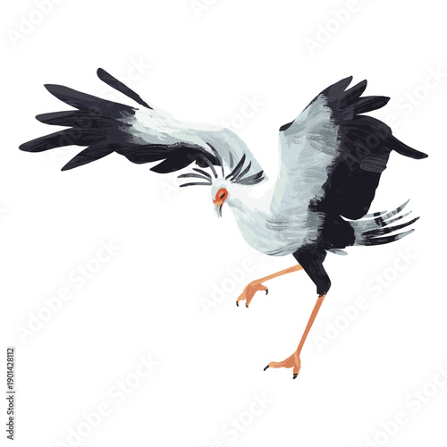 Secretarybird striding elegantly