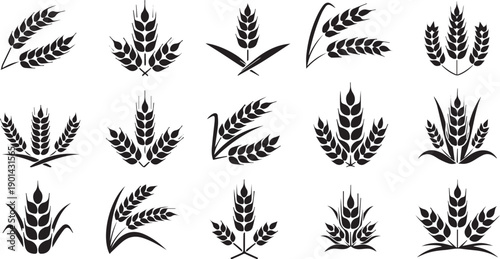 Wheat and Grain Stalk Silhouette Set - Organic Harvest and Agriculture Logo Icons