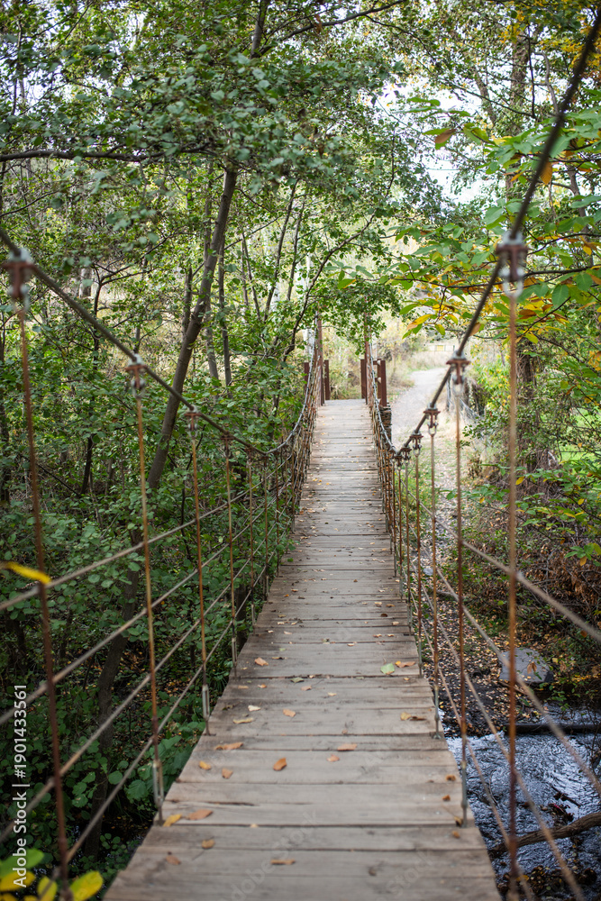 Obraz premium Wooden suspension bridge crossing a stream in a lush green forest, outdoor adventure and travel tourism promotion
