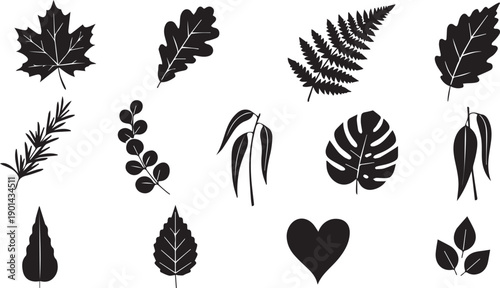 Eclectic Leaf Silhouette Set - Monstera Fern Maple and Heart Shape Foliage Icons