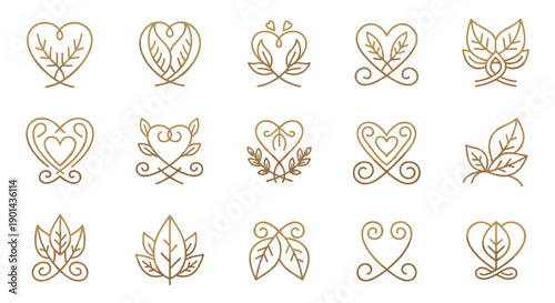 Collection of elegant line art floral and leaf icons for design