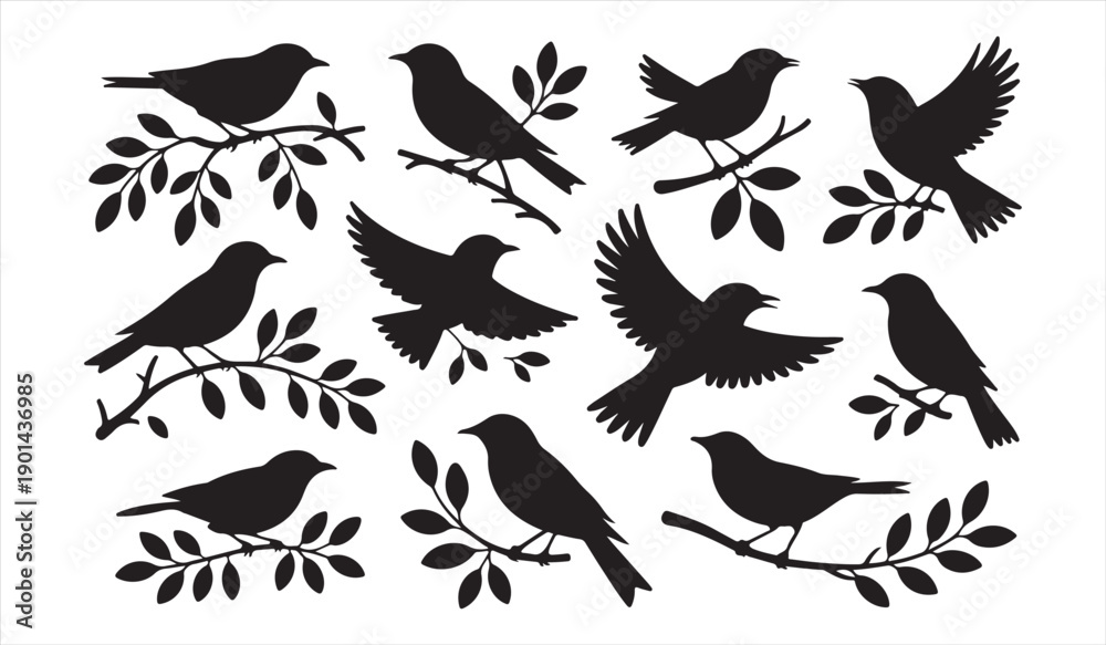 Obraz premium Bird silhouette set with flying and perched birds on branches