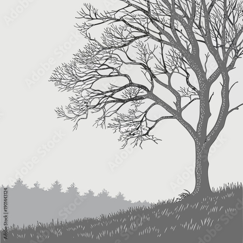 A solitary tree stands tall on a hill overlooking a vast, serene landscape.