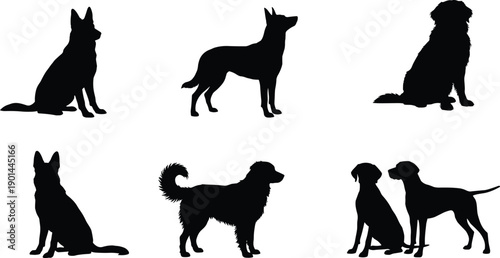Dog silhouettes in various poses, sitting and standing, black figures, pet shapes, breed diversity, animal posture, canine design, vector illustration