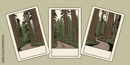 “Forest Road Polaroid Triptych – Vintage Nature Photography Illustration, Redwood Scenic Path Wall Art, Moody Woodland Aesthetic Decor”, U.S, USA, US, United States

