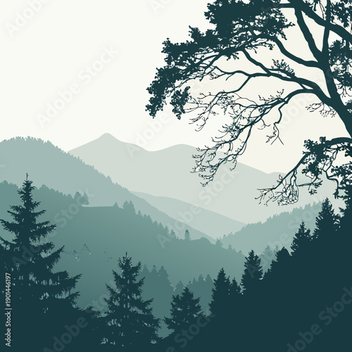 Majestic mountains shrouded in mist with towering trees in the foreground