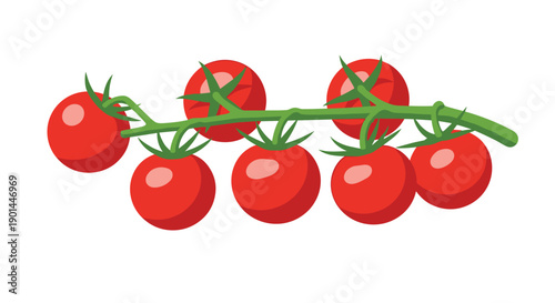Cluster of ripe red cherry tomatoes on a green vine branch, isolated on white background.