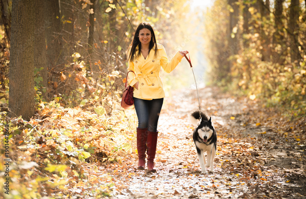 Fototapeta premium The girl is walking along the forest with her husky dog