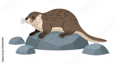 Observant brown otter perched gracefully on a large grey rock, surrounded by smaller stones, showcasing peaceful
