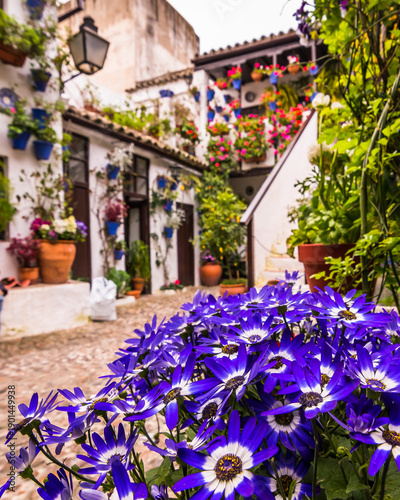 Típico patio cordobés lleno de flores, plantas y tiestos de colores.