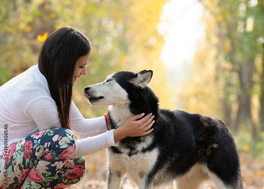 Fototapeta premium The girl is walking along the forest with her husky dog
