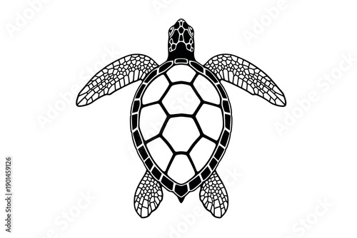 Black and white sea turtle illustration with detailed shell and flippers