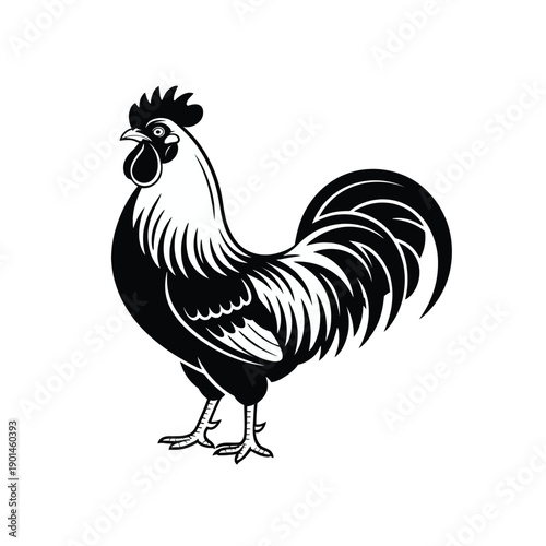 A black and white illustration of a rooster standing proudly with its feathers fluffed out