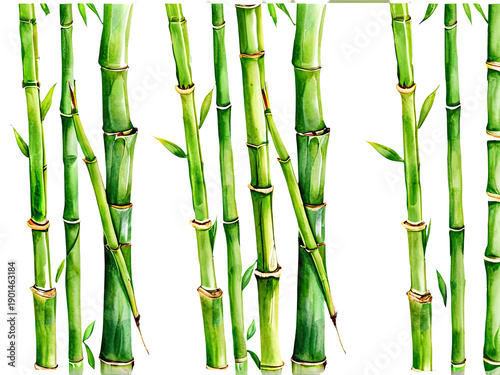 A group of green bamboo trees with lush leaves, ideal for illustrations and designs