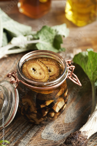 Canvastavla Making homemade herbal tincture from fresh sliced burdock root in a glass jar