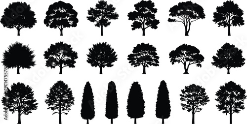 Collection of diverse black tree silhouettes on white background nature forest