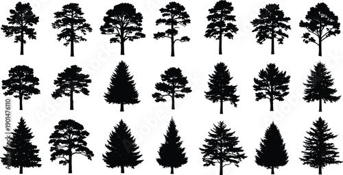 Black silhouettes of various trees on white background 1