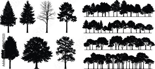 Black silhouette trees on white background
