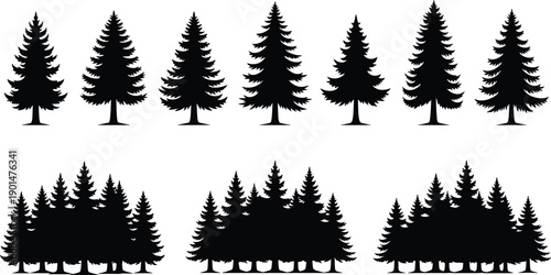 Black silhouette of pine trees on white background tree silhouette black and white forest evergreen