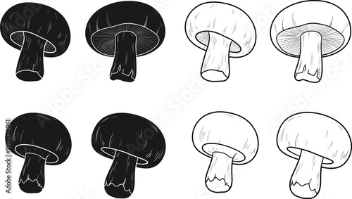 Black and white mushroom mushrooms fungi line edible botanical