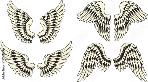 Four elegant pairs of cream colored stylized wings with intricate black outlines displayed gracefully on a white background
