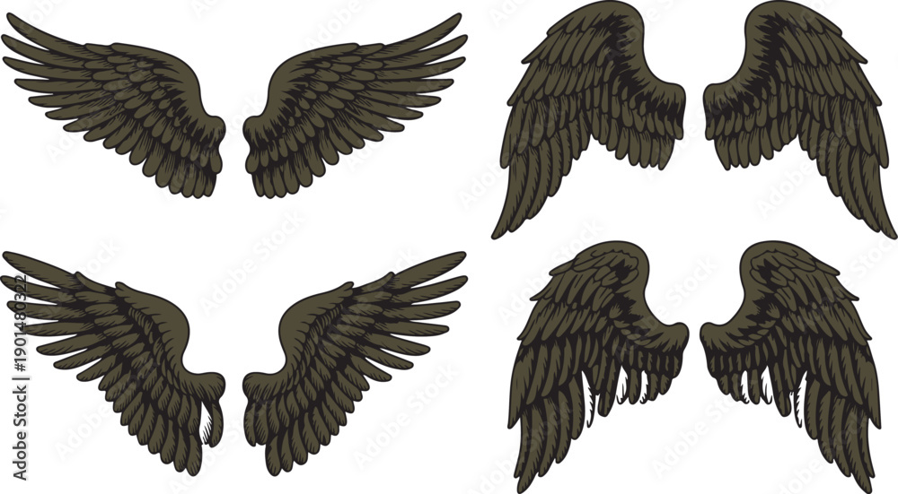 Fototapeta premium Four powerful pairs of dark grey brown stylized wings with bold black outlines presented dramatically on a white background